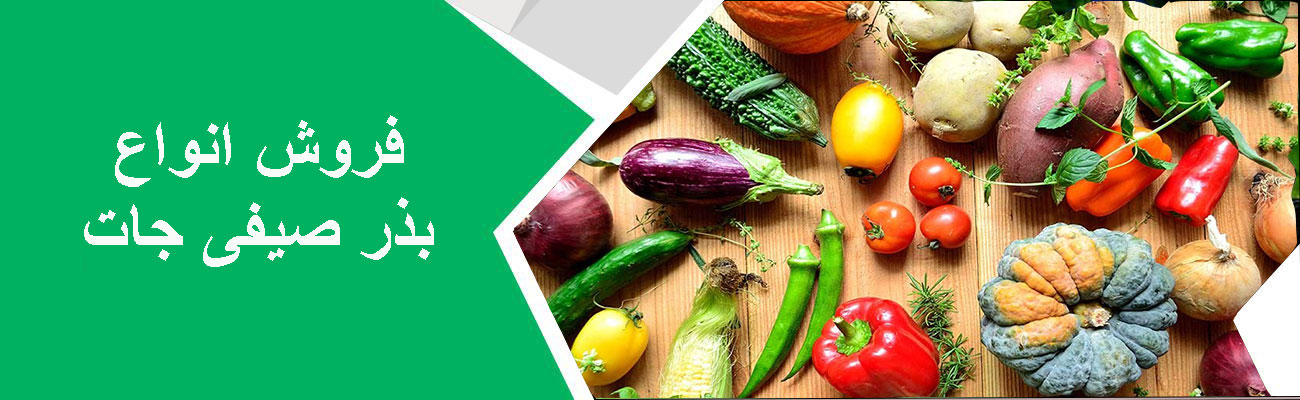 بذر صیفی جات